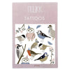 bird tattoos in packaging 